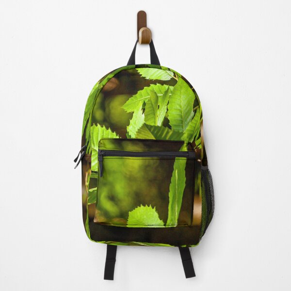 Item preview, Sweet Chestnut designed and sold by Dalyndigital Photography.