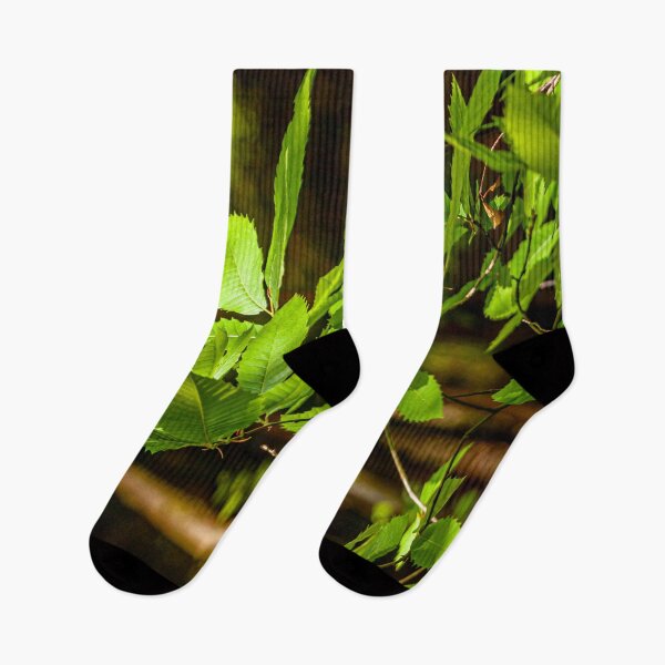 Item preview, Sweet Chestnut designed and sold by Dalyndigital Photography.
