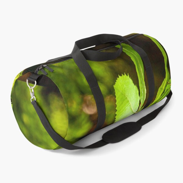 Item preview, Sweet Chestnut designed and sold by Dalyndigital Photography.