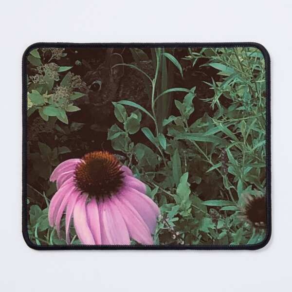 Item preview, Coneflower  designed and sold by Bob Bogs.