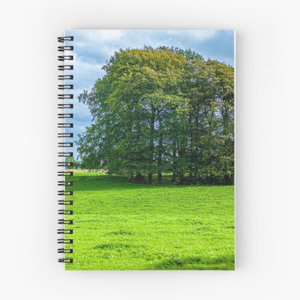 Item preview, Just Trees in the countryside designed and sold by Dalyndigital Photography.