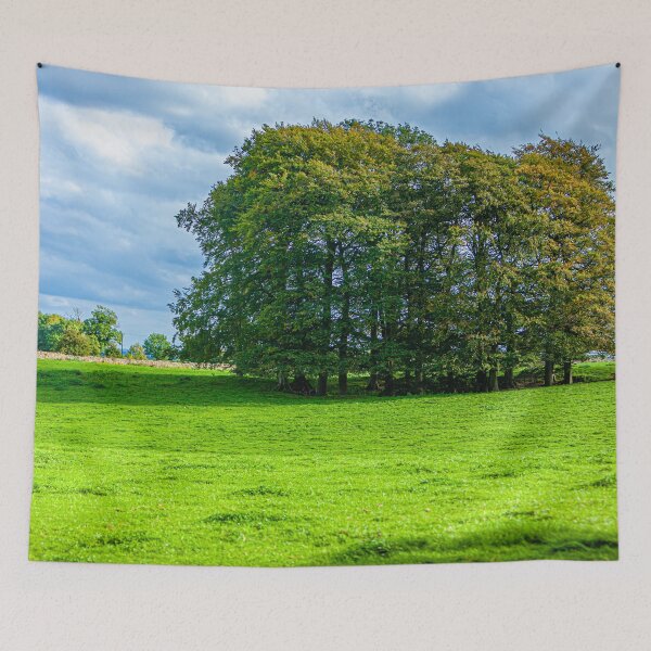 Item preview, Just Trees in the countryside designed and sold by Dalyndigital Photography.