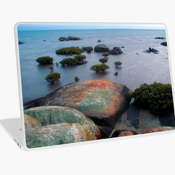 Item preview, Bonsai Mangroves designed and sold by Ern Mainka.
