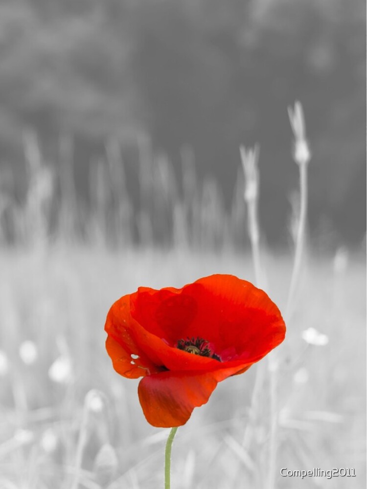 Thumbnail 5 of 5, iPhone Case, Poppy designed and sold by Compelling2011.
