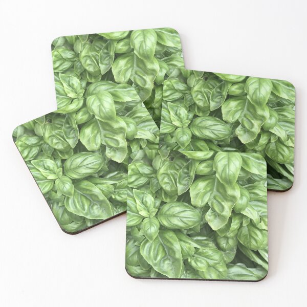 Item preview, Basil Plant  designed and sold by MissMay5.