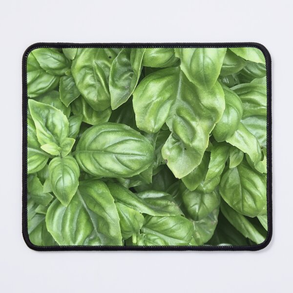 Item preview, Basil Plant  designed and sold by MissMay5.