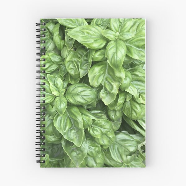 Item preview, Basil Plant  designed and sold by MissMay5.