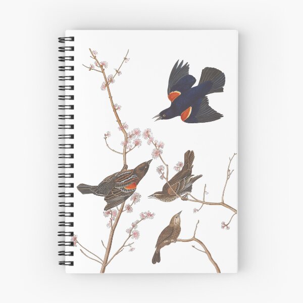 Item preview, Red-winged Blackbird - John James Audubon designed and sold by billythekidtees.