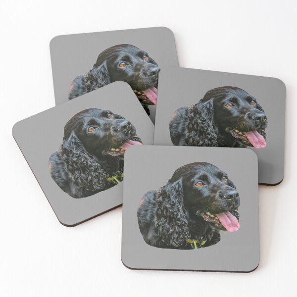 Item preview, Black Spaniel designed and sold by Dalyndigital Photography.
