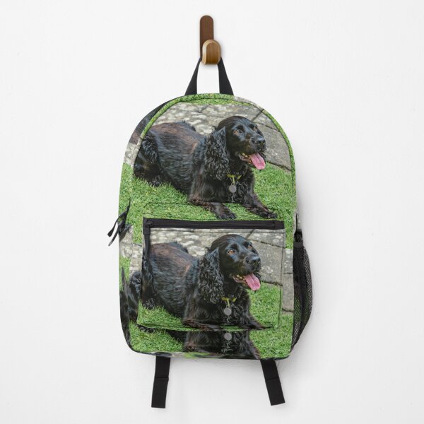 Item preview, Black Spaniel designed and sold by Dalyndigital Photography.
