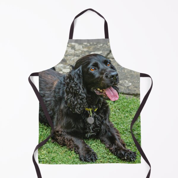 Item preview, Black Spaniel designed and sold by Dalyndigital Photography.