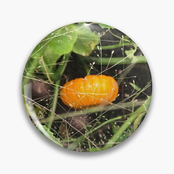 Item preview, Mini Pumpkin   designed and sold by MissMay5.