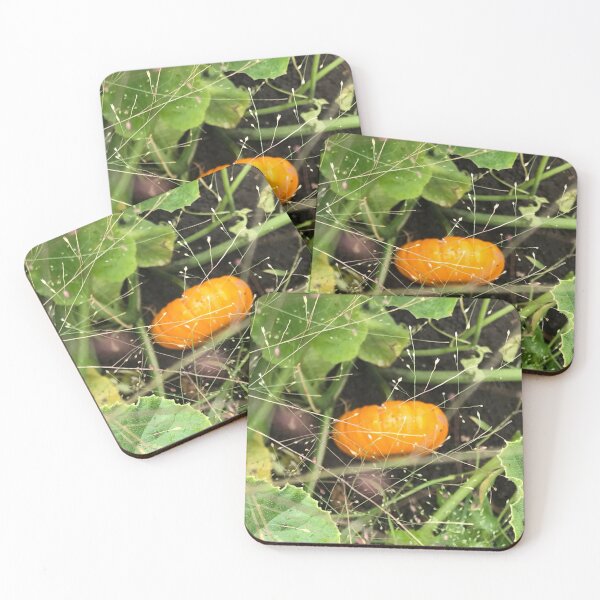 Item preview, Mini Pumpkin   designed and sold by MissMay5.