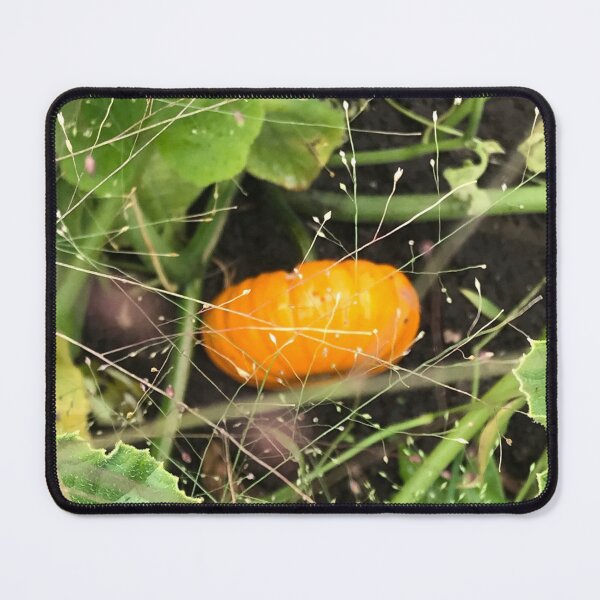 Item preview, Mini Pumpkin designed and sold by MissMay5.
