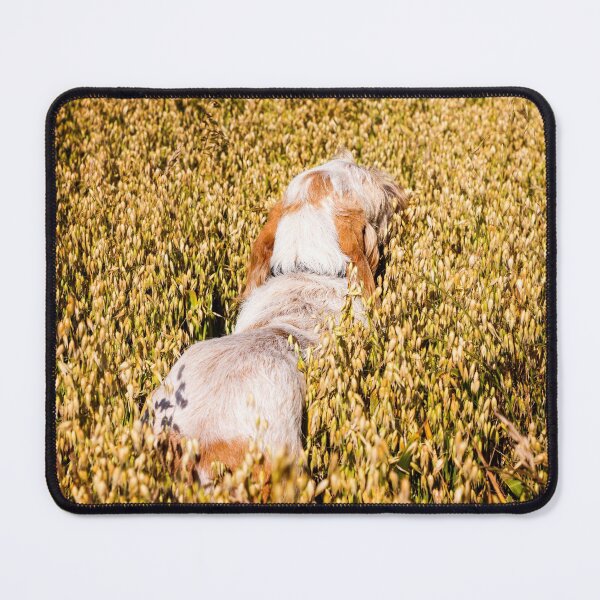Item preview, Wild Oats Spinone designed and sold by FOLK ART FUSION by heidiannemorris.