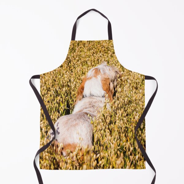 Item preview, Wild Oats Spinone designed and sold by FOLK ART FUSION by heidiannemorris.