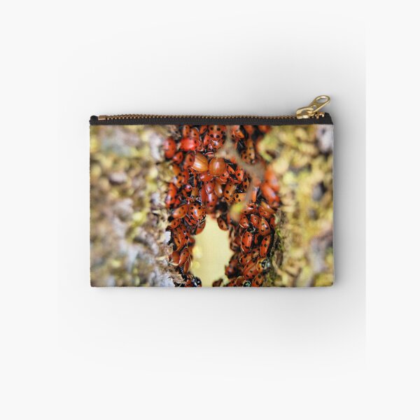 Item preview, tunnel in a tree 1 designed and sold by Lenny La Rue, IPA.