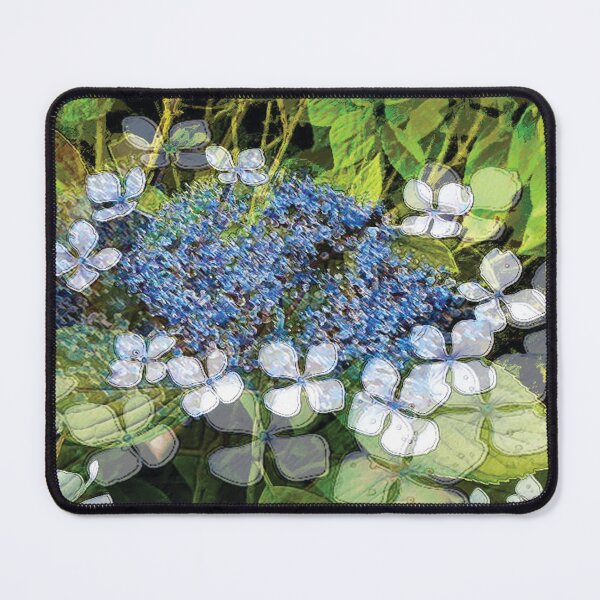 Item preview, Hydrangea Lace cap floral designed and sold by Marju Rose.