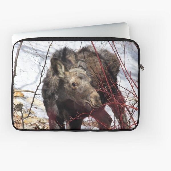 Baby Moose Laptop Sleeve