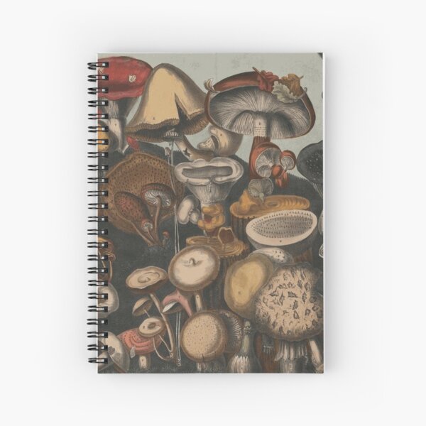 Multicolor 18x18 Heart Mushroom lover mycologist Fungus gifts idea Mycology Fungi Foraging Mushrooms Whisperer Fungus Throw Pillow Multicolor 18x18 Heart Mushroom lover mycologist Fungus gifts idea Mycology Fungi Foraging Mushrooms Whisperer Fungus Throw Pillow