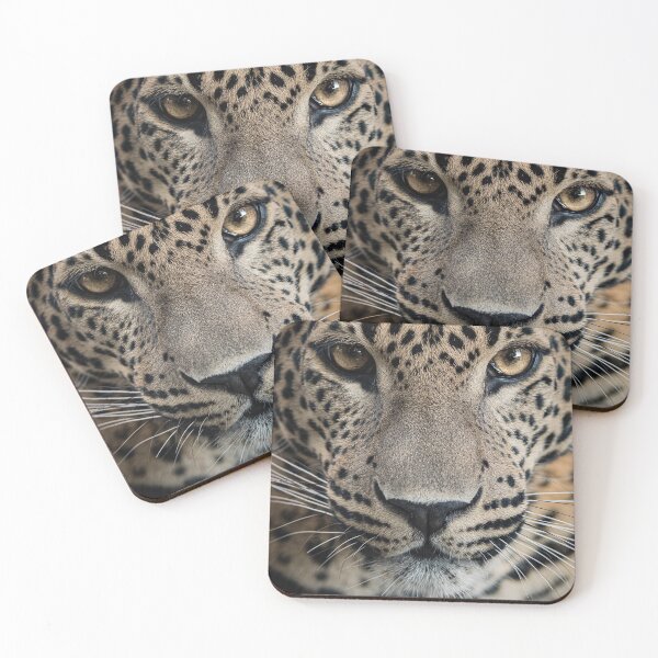 Item preview, Leopard Portrait designed and sold by H-L-Photography.