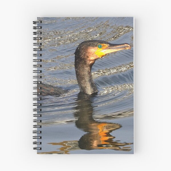 Item preview, Cormorant at the river......West Bay Dorset UK designed and sold by lynn carter.