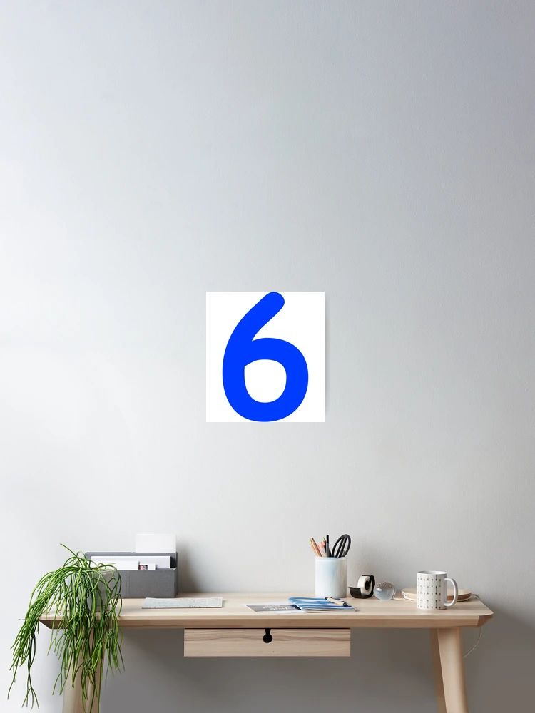 Number 6 Six Birthday Gift