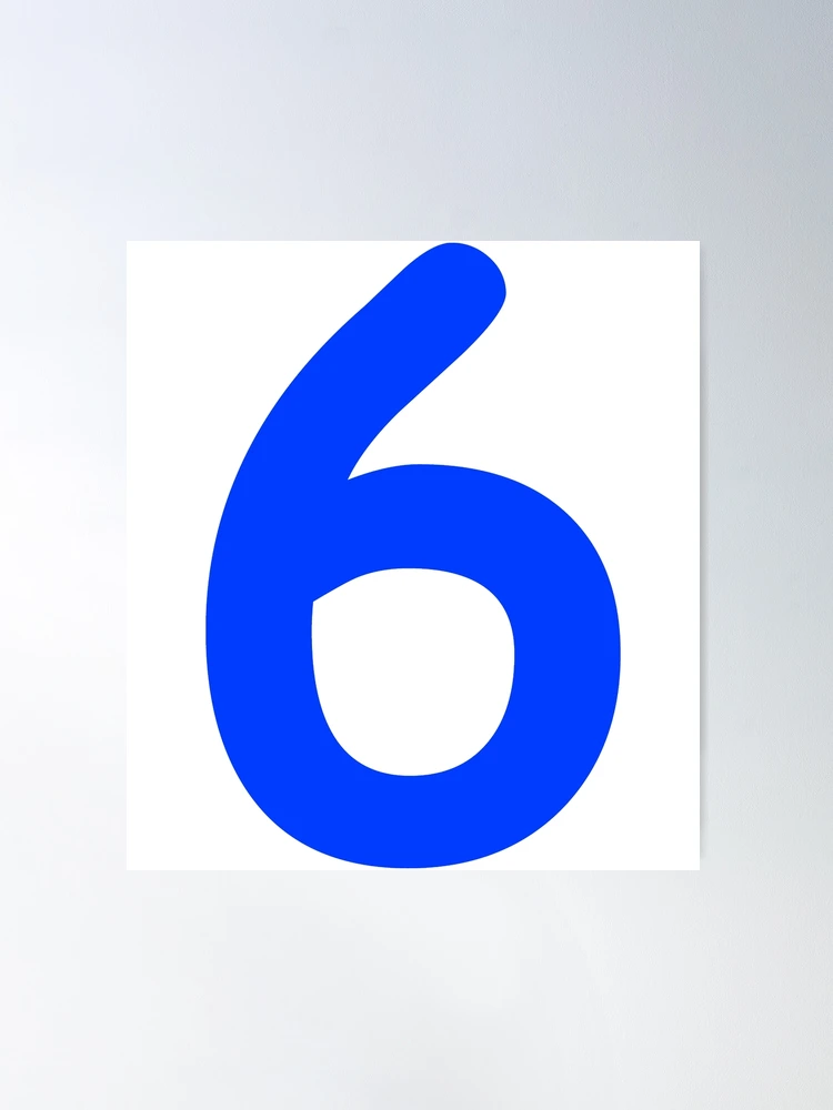 Number 6 Six Birthday Gift