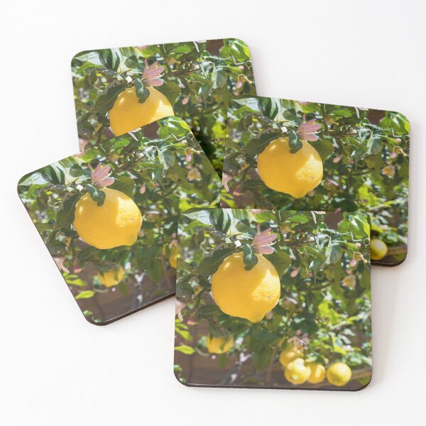 Item preview, Blooming lemon tree in the Mediterranean garden designed and sold by Adriana Mueller.