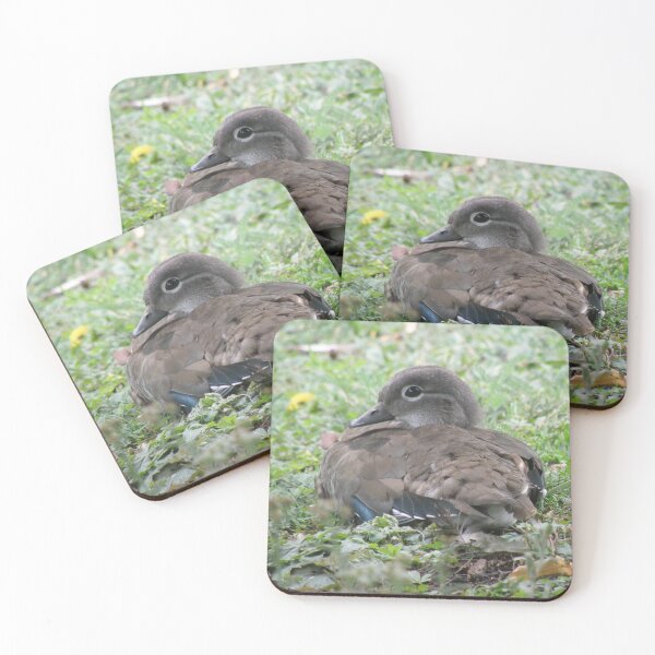 Item preview, Female Wood Duck on Grass Photograph designed and sold by naturegallery.