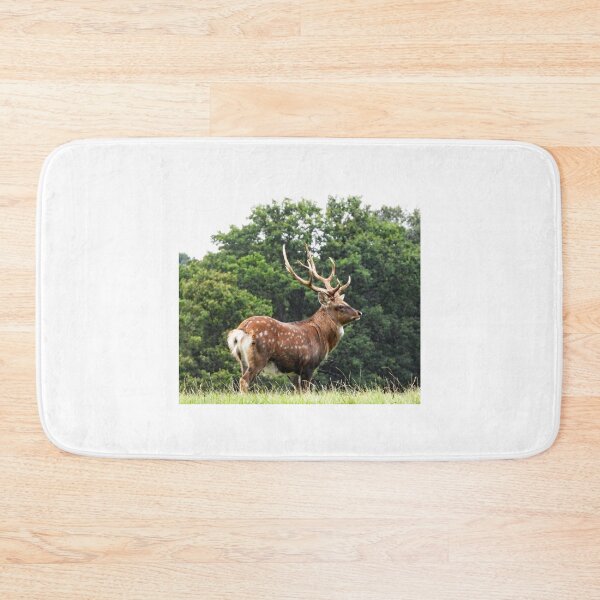 Item preview, A Wonderful Fallow Stag designed and sold by Karen Thomson.