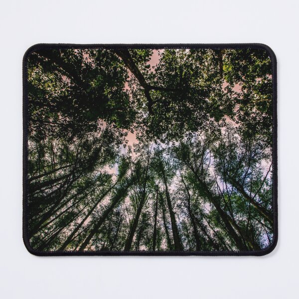 Item preview, Woodland Trees Up Above designed and sold by PictureThisYT.