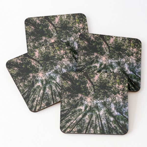 Item preview, Woodland Trees Up Above designed and sold by PictureThisYT.