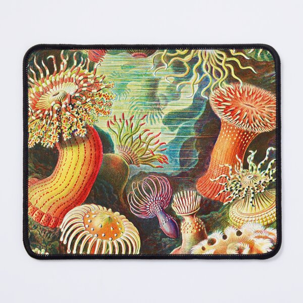 Item preview, Sea Life Anemone by Ernst Haeckel designed and sold by Branka.