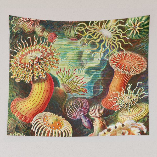 Item preview, Sea Life Anemone by Ernst Haeckel designed and sold by Branka.