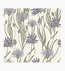 seamless pattern with cornflowers Photographic Print