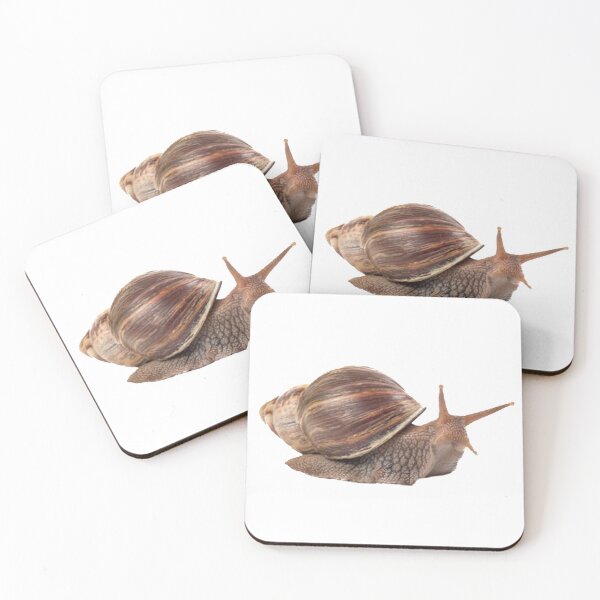Item preview, Achatina Fulica Snali T-shirt 2022 & Mask and Sticker designed and sold by Reo12.