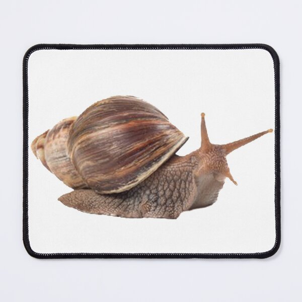 Item preview, Achatina Fulica Snali T-shirt 2022 & Mask and Sticker designed and sold by Reo12.