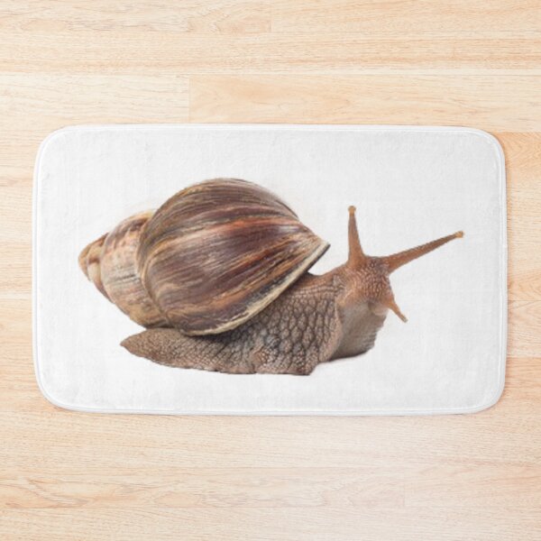 Item preview, Achatina Fulica Snali T-shirt 2022 & Mask and Sticker designed and sold by Reo12.