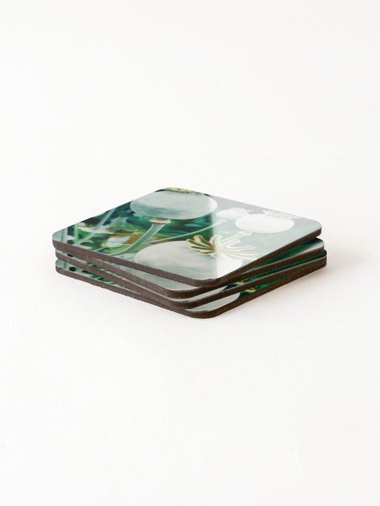 Thumbnail 4 of 5, Coasters (Set of 4), Poppy Heads - oil painting of green poppy heads designed and sold by jknowles.