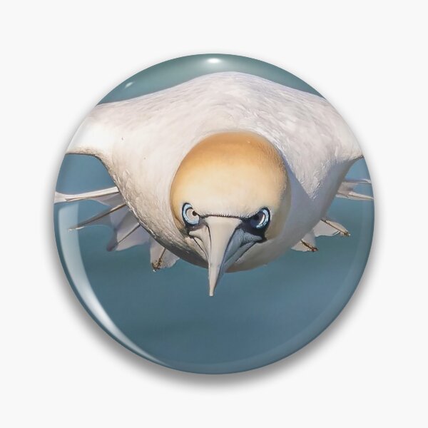 Item preview, Incoming Gannet designed and sold by AliMarleyPhoto.