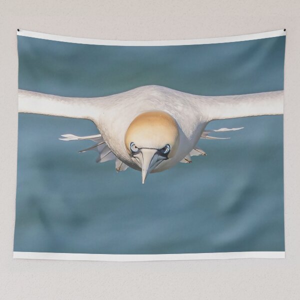 Item preview, Incoming Gannet designed and sold by AliMarleyPhoto.