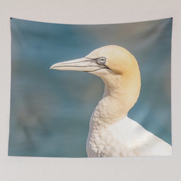 Item preview, Gannet side view designed and sold by AliMarleyPhoto.
