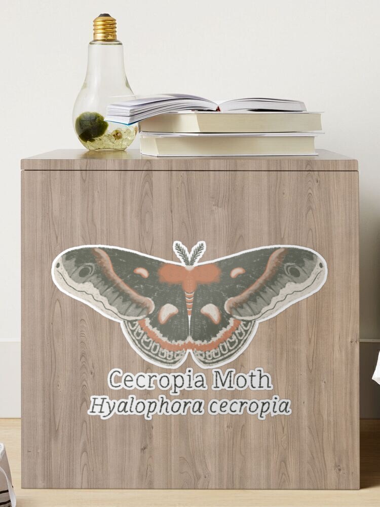 Cecropia Moth Sticker – TeaToucan