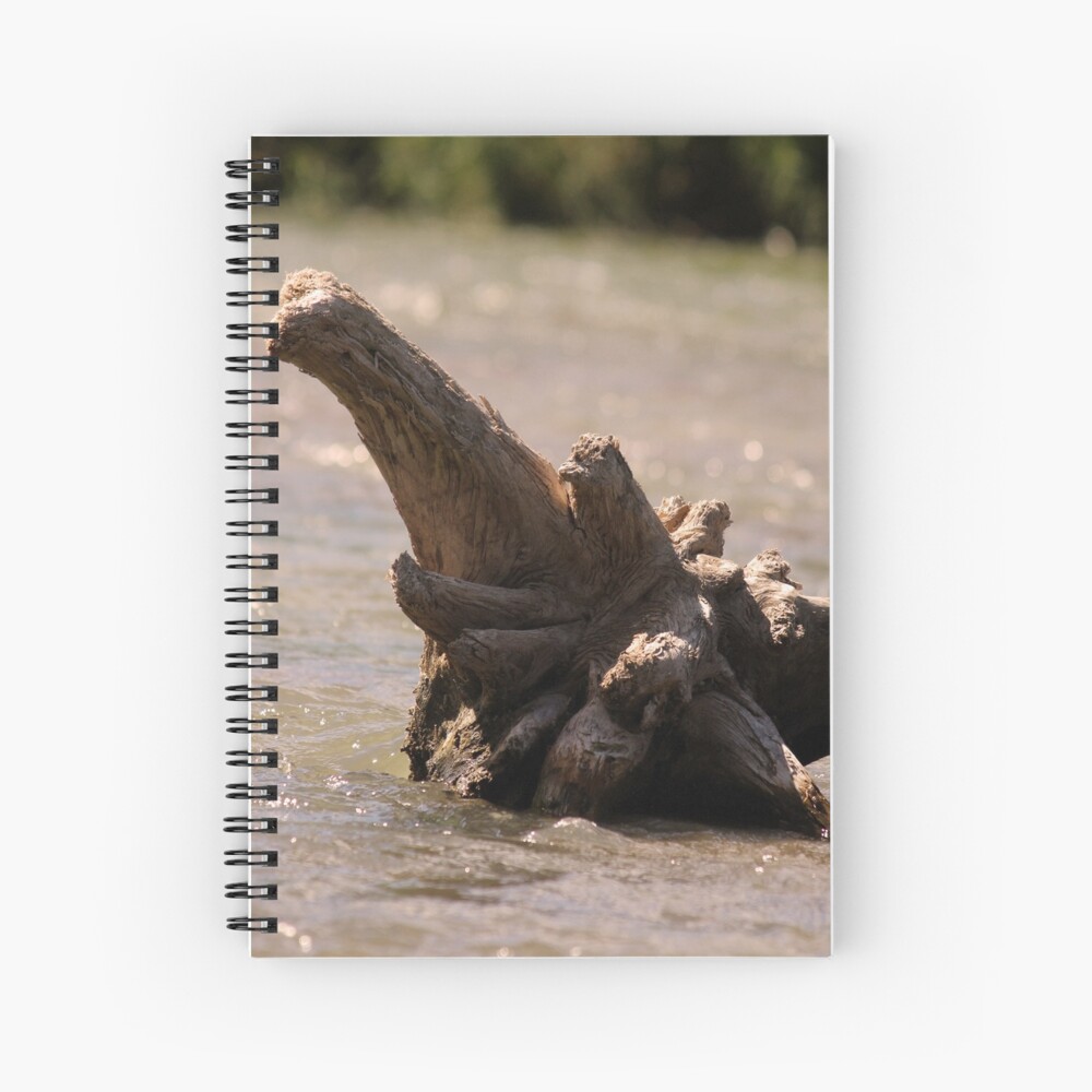 Driftwood on the River Spiral Notebook