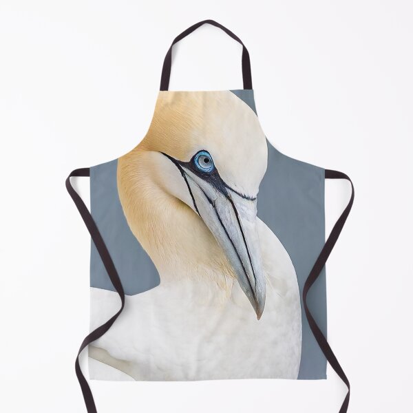 Item preview, Gannet pose designed and sold by AliMarleyPhoto.