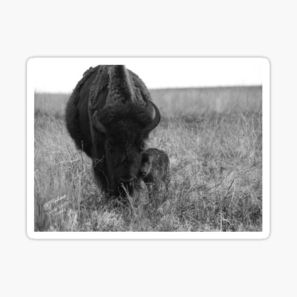 Motherhood on the Prairie Sticker
