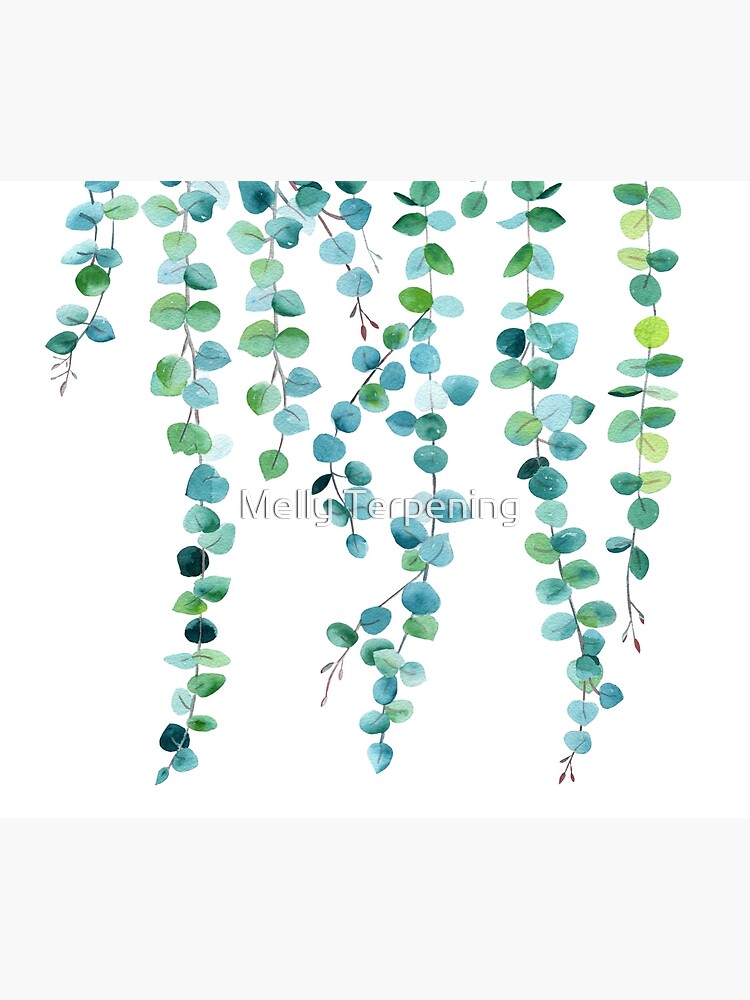 Eucalyptus Watercolor 5 by MellyTerp