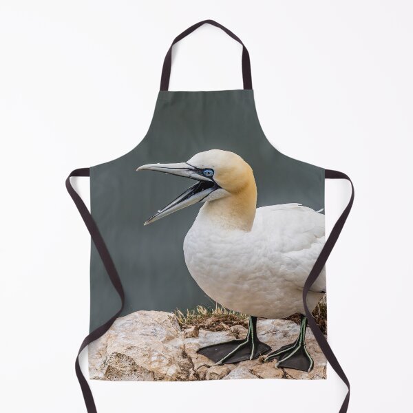 Item preview, scream and shout gannet style designed and sold by AliMarleyPhoto.