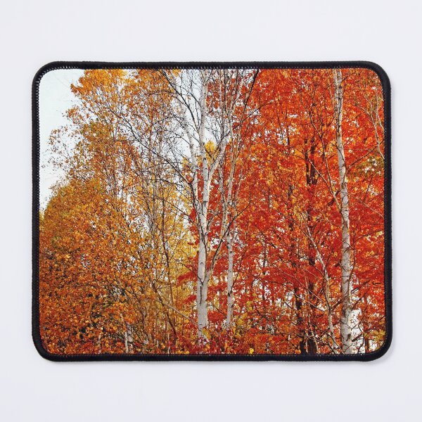 Item preview, Shades Of Autumn designed and sold by Debbie Oppermann.